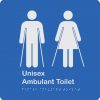 blue-and-white-plastic-unisex-ambulant-toilet-sign